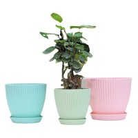 花盆北歐簡(jiǎn)約塑料樹(shù)脂盆栽多肉綠蘿月季加侖廠(chǎng)家直銷(xiāo)仿陶瓷條紋盆